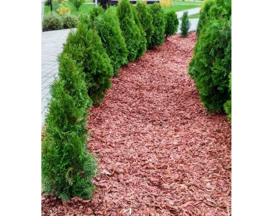 Кора сибирской лиственницы мелкая 1-3 см - вид 2